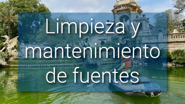Limpieza y Mantenimiento de Fuentes